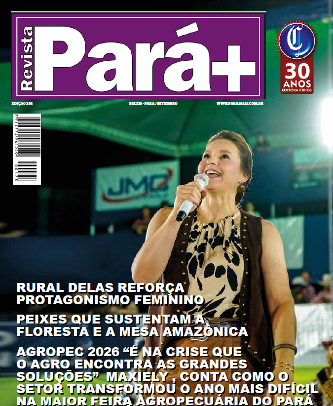 Edição 293