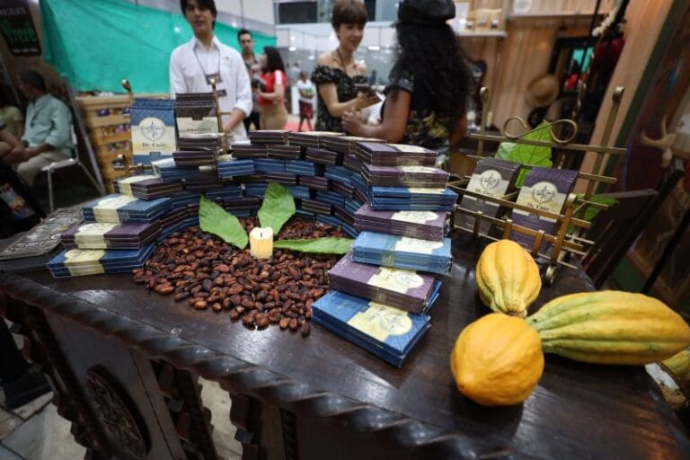 Produtores de cinco municípios do Pará participam do Chocolat Festival de Ilhéus