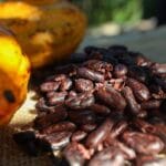 Guardiões da terra e da biodiversidade, agricultores familiares são celebrados em 25 de julho