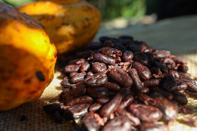 Guardiões da terra e da biodiversidade, agricultores familiares são celebrados em 25 de julho