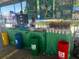 Prefeitura de Belém realiza plantio de 50 mudas de árvores nativas