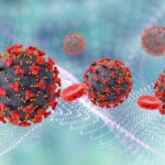 COVID-19 pode disparar anticorpos ligados a doenças autoimunes, causando trombose e outras complicações