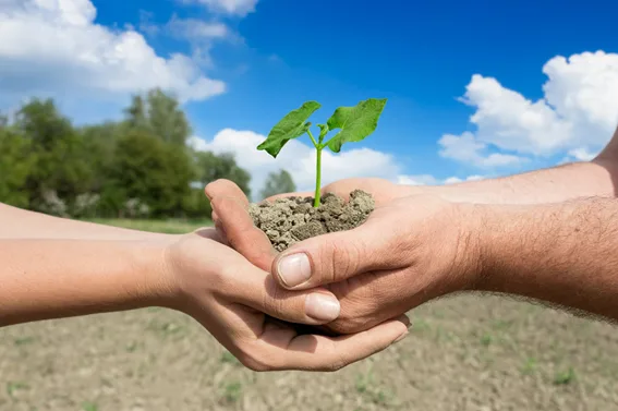 Cultivando Prosperidade Sustentável: Agricultores Familiares de Barcarena Adotam Sistemas de Irrigação Eficiente