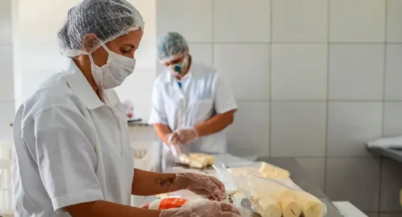 Da Terra à Mesa: Agricultores Familiares em Barcarena Impulsionam a Sustentabilidade por Meio da Agroindústria Familiar