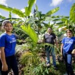 Seduc abre inscrições para três cursos de especialização para professores