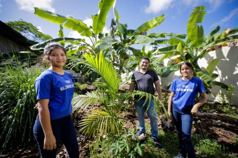 Seduc abre inscrições para três cursos de especialização para professores