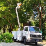 Prefeitura realiza serviço de poda em árvores na Batista Campos e entorno