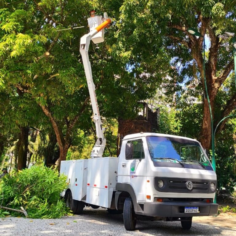 Prefeitura realiza serviço de poda em árvores na Batista Campos e entorno