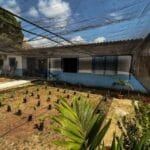 Estado impulsiona desenvolvimento sustentável no Marajó com a entrega de três viveiros de mudas em Soure