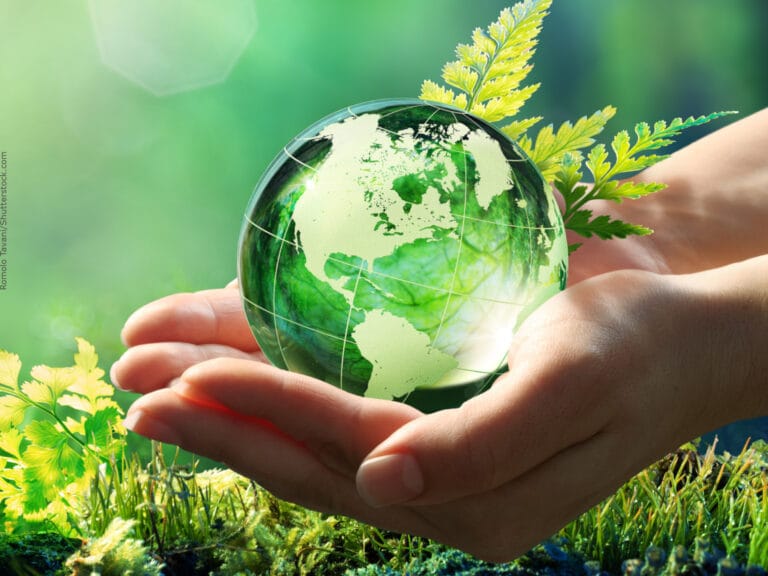 A IMPORTÂNCIA DA SUSTENTABILIDADE NA CIDADE: CONSTRUINDO UM FUTURO MAIS VERDE