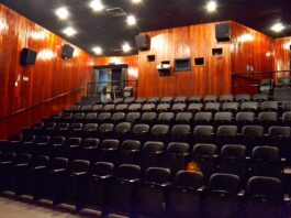 Mostra de Cinema Japonês: Uma Janela para a Cultura e a Arte do Japão