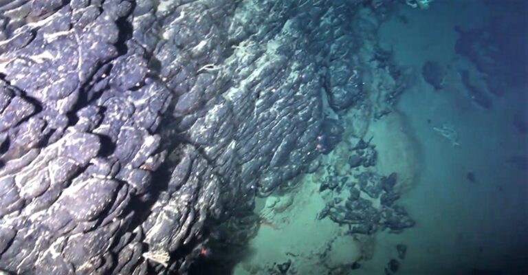 Descoberta de Ilha Tropical Submersa Revela Riquezas Minerais