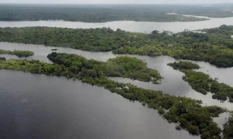 Nova Lei Facilita Regularização de Terras na Amazônia