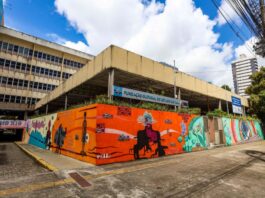 A 4ª Conferência Estadual de Cultura do Pará: Um Encontro de Democracia, Sustentabilidade e Direito à Cultura na Amazônia