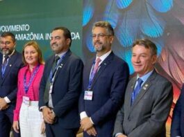 Belém: A Capital do Debate Sobre Mudanças Climáticas