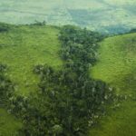 Transformação Digital na Secretaria de Estado de Meio Ambiente e Sustentabilidade (Semas)