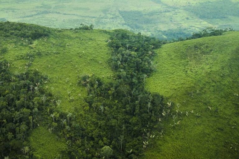 Transformação Digital na Secretaria de Estado de Meio Ambiente e Sustentabilidade (Semas)