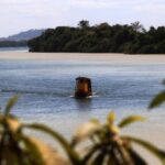 Pará é Líder em Sustentabilidade Ambiental e Engajamento Social