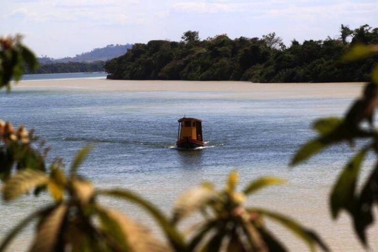 Pará é Líder em Sustentabilidade Ambiental e Engajamento Social