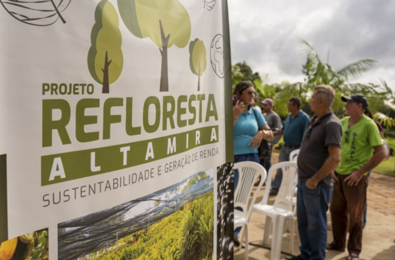 Governo do Pará Disponibiliza Meio Milhão de Mudas para Reflorestamento em Altamira