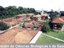 UEPA realiza Jornada de Integração das Produções e Pesquisas das Residências em Saúde