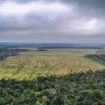 Redução de 60% no Desmatamento da Amazônia em Janeiro