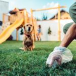 Cocô de Animal de Estimação Pode Espalhar Doenças