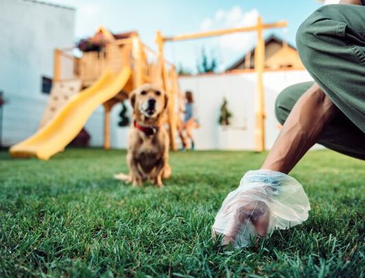 Cocô de Animal de Estimação Pode Espalhar Doenças