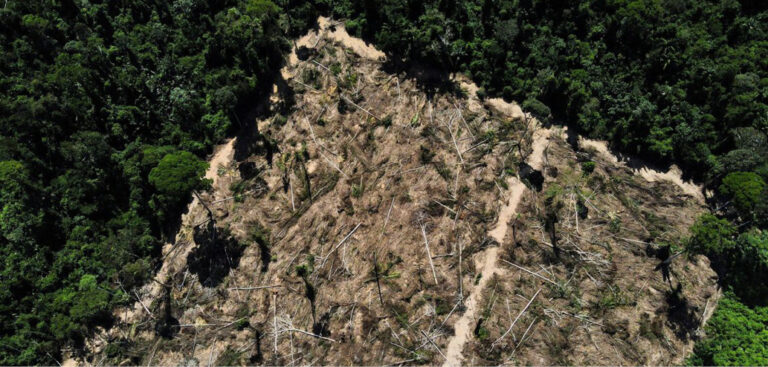 Amazônia corre risco de entrar em colapso em 2050