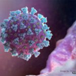 Estudo avalia impacto da Covid-19 no Brasil