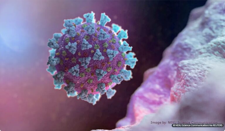 Estudo avalia impacto da Covid-19 no Brasil