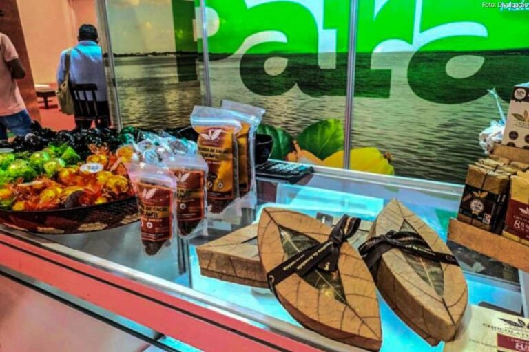 Estado apoia participação de produtores paraenses no Festival Chocolat Salvador