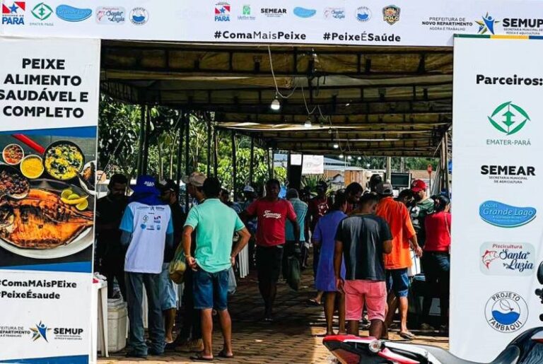Emater apoia as Feiras do Peixe Vivo em várias cidades do Pará