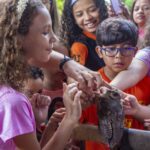 Mangal terá apresentação de ‘mini rapinantes’ e oficina de jardinagem ecológica no próximo domingo (24)