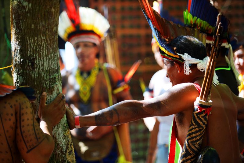 Emergência climática: povos indígenas chamam para a cura da Terra