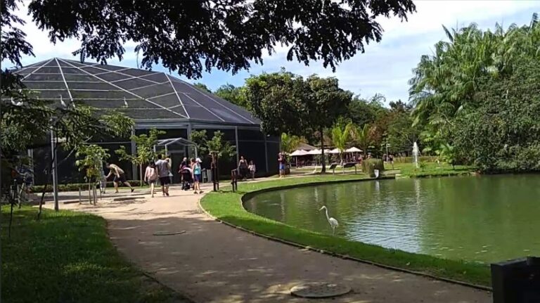 Mangal das Garças Terá Oficina de Pulseiras Sustentáveis para Crianças