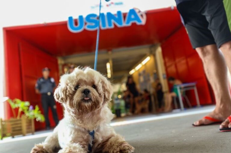 Usina da Paz Jurunas/Condor receberá parque exclusivo para pets
