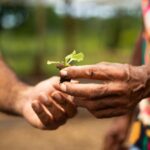 Segunda Caravana Brasil Sem Fome chega ao Pará nos dias 18 a 20 de abril