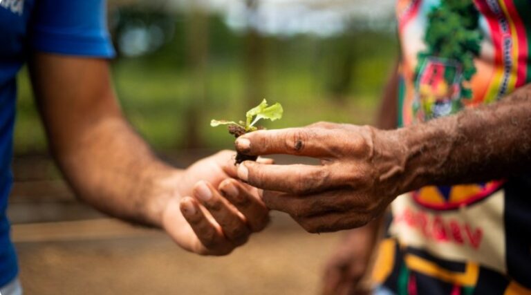 Segunda Caravana Brasil Sem Fome chega ao Pará nos dias 18 a 20 de abril