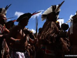 Programa de Integração de Línguas Indígenas promove entendimento mútuo