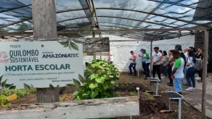 horta em Breu Branco