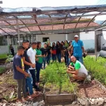 Dow Divulga Projetos Aprovados do Edital de Responsabilidade Social horta escolar em Breu Branco