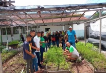 Dow Divulga Projetos Aprovados do Edital de Responsabilidade Social horta escolar em Breu Branco