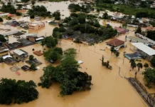 BNDES Planeja Linhas de Crédito para perdas de danos climáticos BNDES