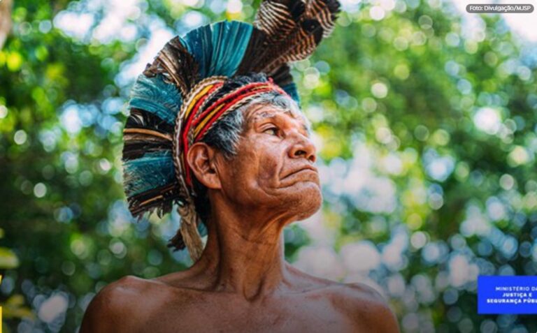 Governo Federal inicia desintrusão na Terra Indígena Karipuna, em Rondônia