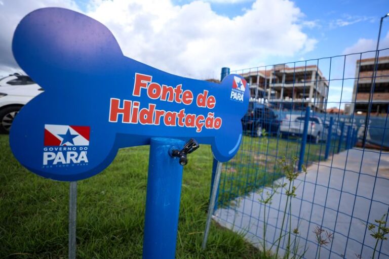 O Parque Pet na UsiPaz Jurunas/Condor, em Belém, é um espaço completo para os cães se divertirem e se refrescarem. O parque oferece brinquedos, áreas verdes e uma fonte de água potável exclusiva para os peludos.