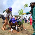 Semana do Meio Ambiente tem programação especial da Prefeitura de Belém Programação da Semana do Meio Ambiente em Belém inclui novas ações de plantio de árvores em vários locais da cidade.