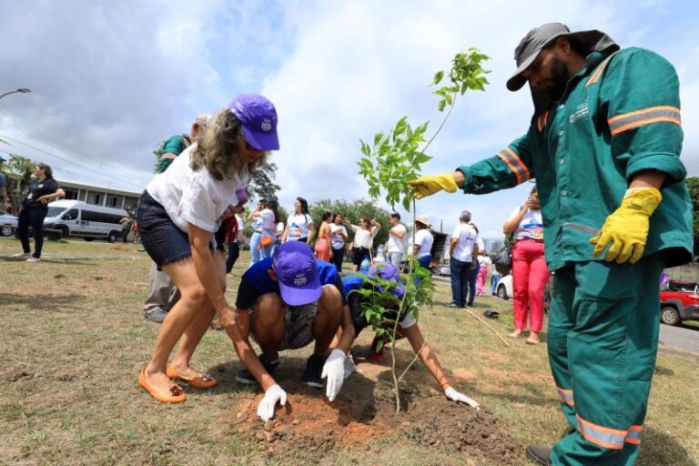 Programação da Semana do Meio Ambiente em Belém inclui novas ações de plantio de árvores em vários locais da cidade.