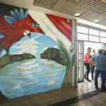 Estações do BRT de Belém se transformam em galerias de arte urbana