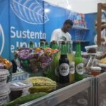 Cacau em Sistema Agroflorestal é Destaque em Palestra no Fórum da Cacauicultura